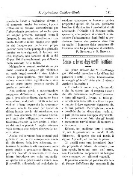 L'agricoltore calabro siculo giornale di agricoltura pratica