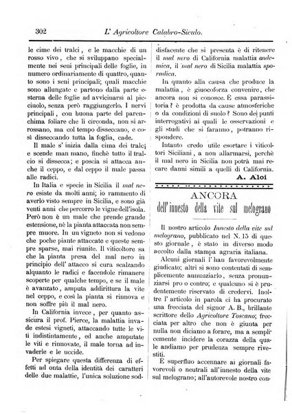 L'agricoltore calabro siculo giornale di agricoltura pratica