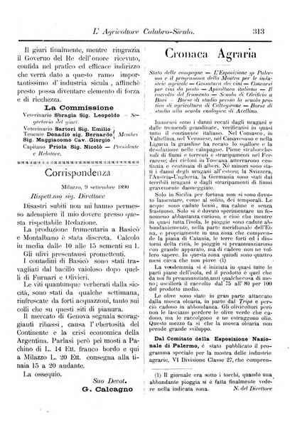 L'agricoltore calabro siculo giornale di agricoltura pratica