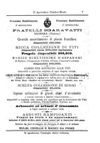 giornale/CFI0425650/1891/unico/00000033