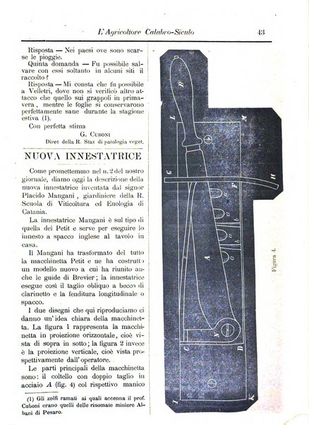 L'agricoltore calabro siculo giornale di agricoltura pratica