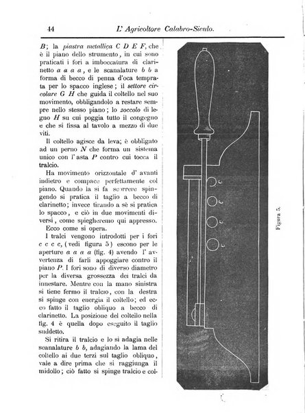 L'agricoltore calabro siculo giornale di agricoltura pratica