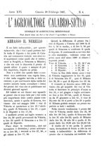 giornale/CFI0425650/1891/unico/00000091