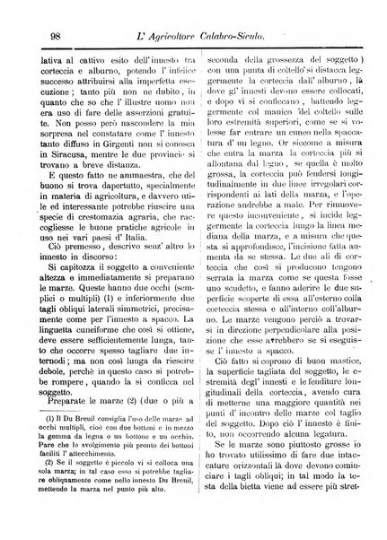 L'agricoltore calabro siculo giornale di agricoltura pratica