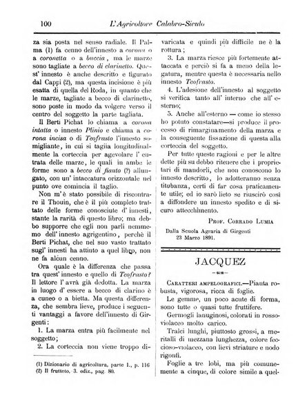 L'agricoltore calabro siculo giornale di agricoltura pratica