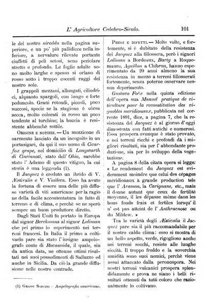 L'agricoltore calabro siculo giornale di agricoltura pratica