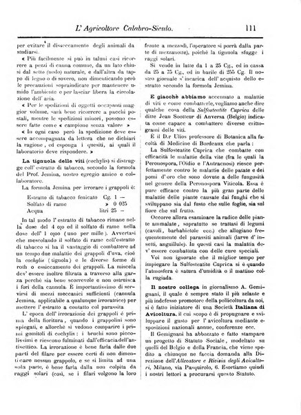 L'agricoltore calabro siculo giornale di agricoltura pratica