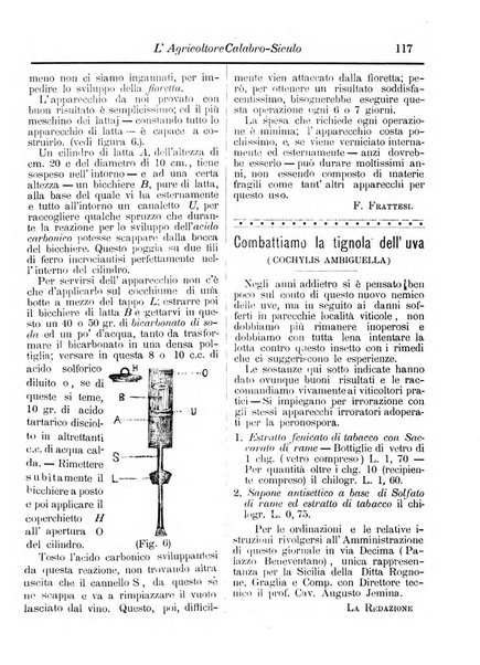 L'agricoltore calabro siculo giornale di agricoltura pratica