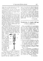 giornale/CFI0425650/1891/unico/00000171