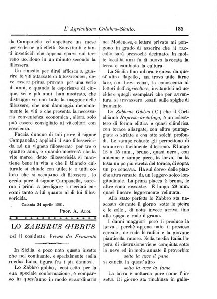 L'agricoltore calabro siculo giornale di agricoltura pratica