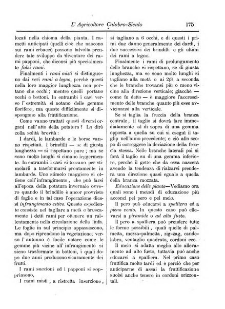 L'agricoltore calabro siculo giornale di agricoltura pratica