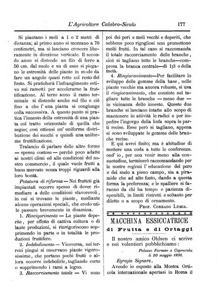 L'agricoltore calabro siculo giornale di agricoltura pratica