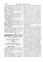 giornale/CFI0425650/1891/unico/00000304