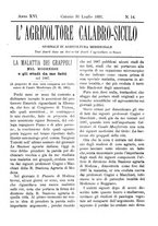giornale/CFI0425650/1891/unico/00000351