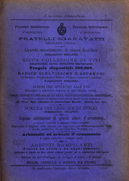 L'agricoltore calabro siculo giornale di agricoltura pratica