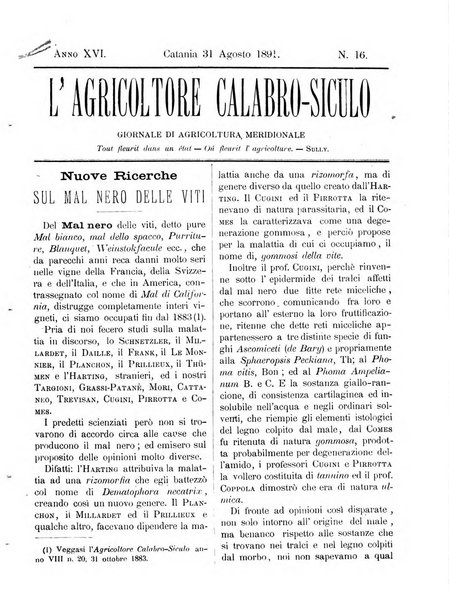 L'agricoltore calabro siculo giornale di agricoltura pratica