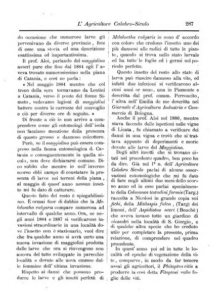 L'agricoltore calabro siculo giornale di agricoltura pratica