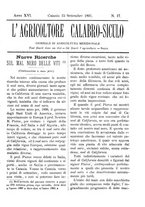 giornale/CFI0425650/1891/unico/00000435