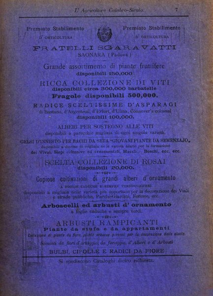 L'agricoltore calabro siculo giornale di agricoltura pratica