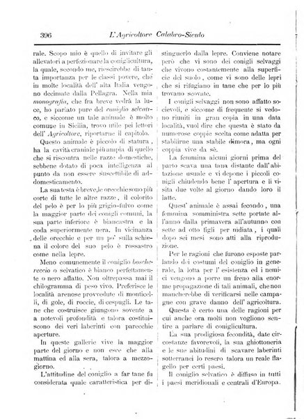 L'agricoltore calabro siculo giornale di agricoltura pratica