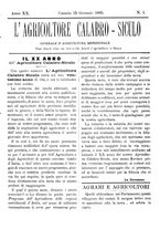 giornale/CFI0425650/1895/unico/00000013