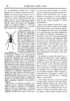 giornale/CFI0425650/1895/unico/00000098