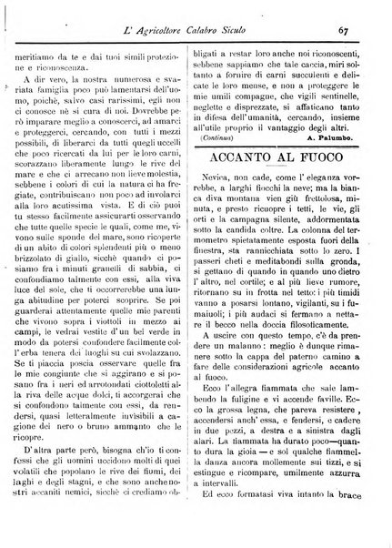 L'agricoltore calabro siculo giornale di agricoltura pratica