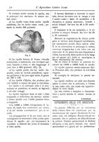 giornale/CFI0425650/1895/unico/00000104