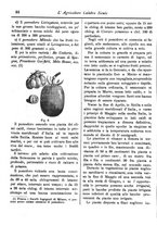 giornale/CFI0425650/1895/unico/00000128
