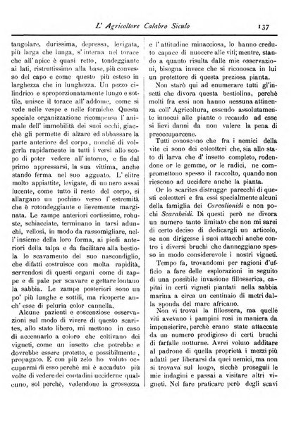 L'agricoltore calabro siculo giornale di agricoltura pratica