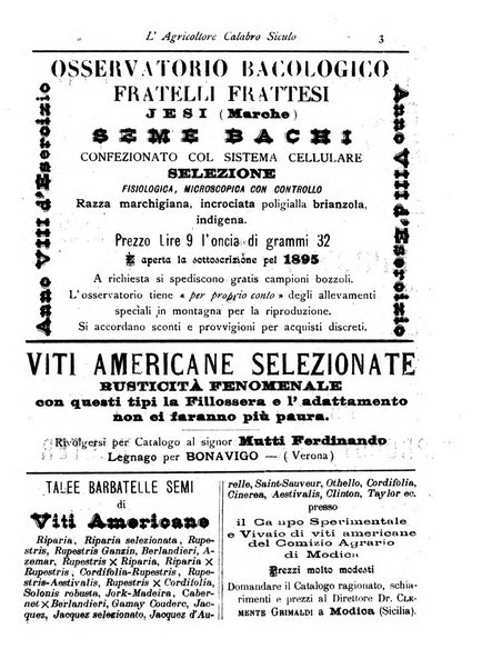 L'agricoltore calabro siculo giornale di agricoltura pratica