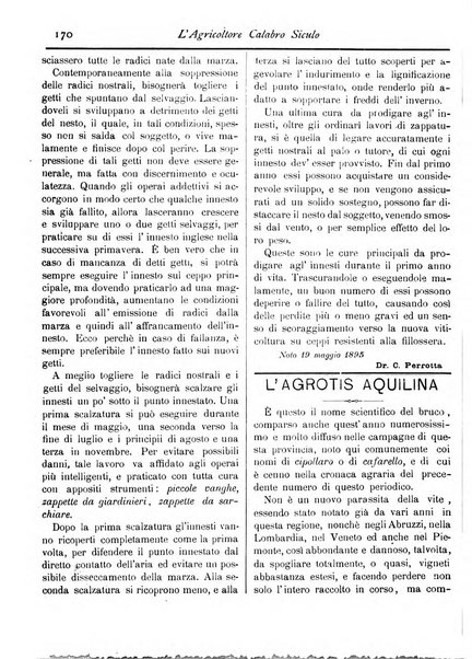 L'agricoltore calabro siculo giornale di agricoltura pratica