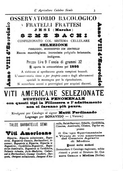 L'agricoltore calabro siculo giornale di agricoltura pratica