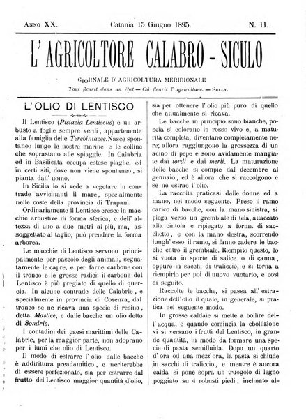 L'agricoltore calabro siculo giornale di agricoltura pratica