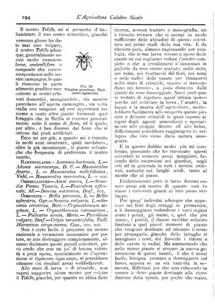 L'agricoltore calabro siculo giornale di agricoltura pratica