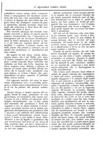 L'agricoltore calabro siculo giornale di agricoltura pratica