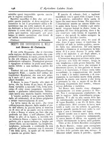 L'agricoltore calabro siculo giornale di agricoltura pratica