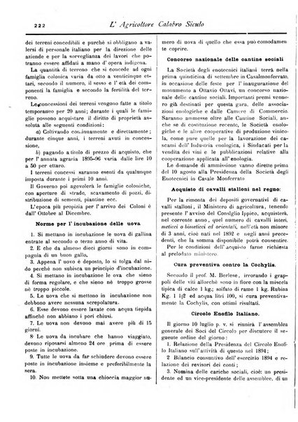 L'agricoltore calabro siculo giornale di agricoltura pratica