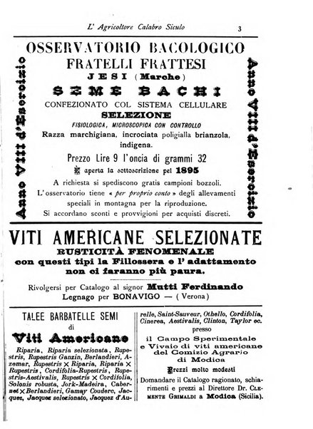 L'agricoltore calabro siculo giornale di agricoltura pratica