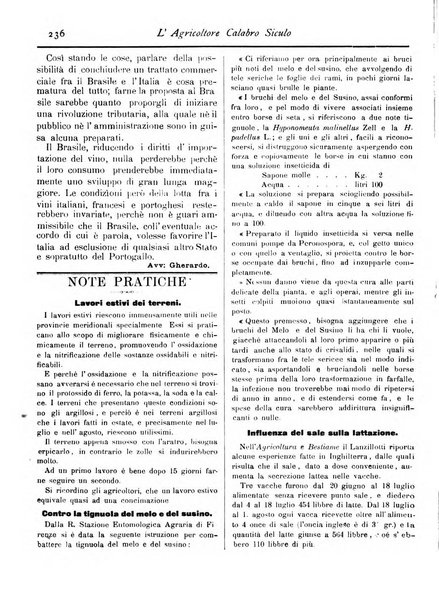 L'agricoltore calabro siculo giornale di agricoltura pratica