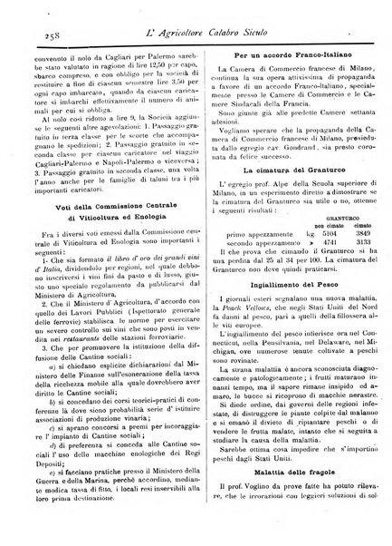 L'agricoltore calabro siculo giornale di agricoltura pratica