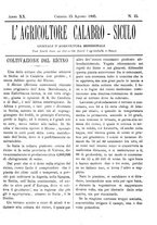 giornale/CFI0425650/1895/unico/00000381