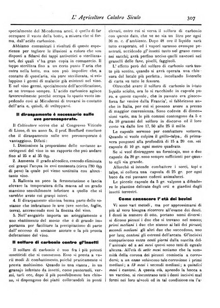 L'agricoltore calabro siculo giornale di agricoltura pratica