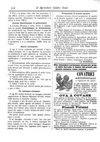 giornale/CFI0425650/1895/unico/00000448