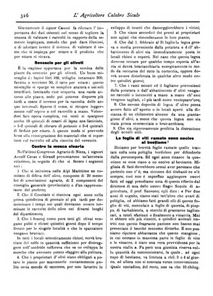 L'agricoltore calabro siculo giornale di agricoltura pratica