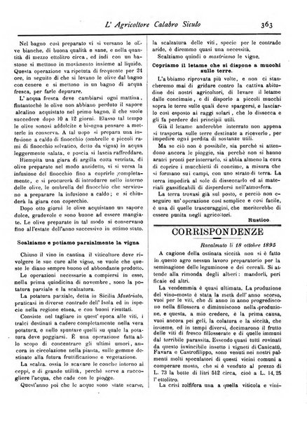 L'agricoltore calabro siculo giornale di agricoltura pratica