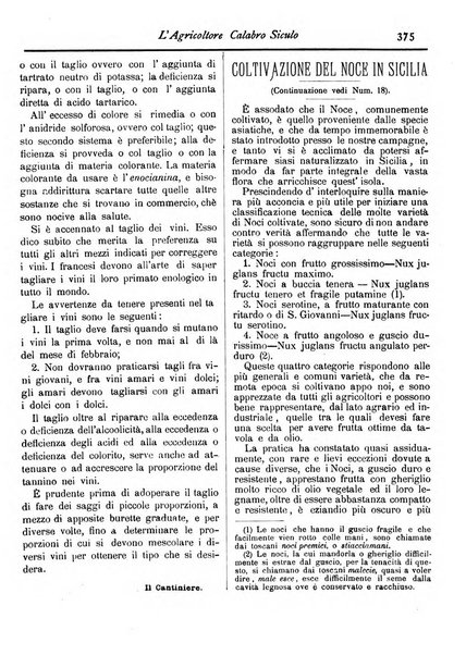 L'agricoltore calabro siculo giornale di agricoltura pratica