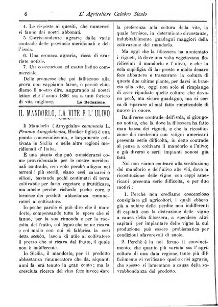 L'agricoltore calabro siculo giornale di agricoltura pratica