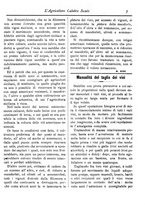 giornale/CFI0425650/1896/unico/00000019