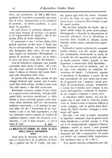 L'agricoltore calabro siculo giornale di agricoltura pratica